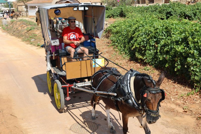 La presentació i l’entrada de la murta aporten l’ambient a l’arranc de les festes de Llíber La presentació i l’entrada de la murta aporten l’ambient a l’arranc de les festes de Llíber